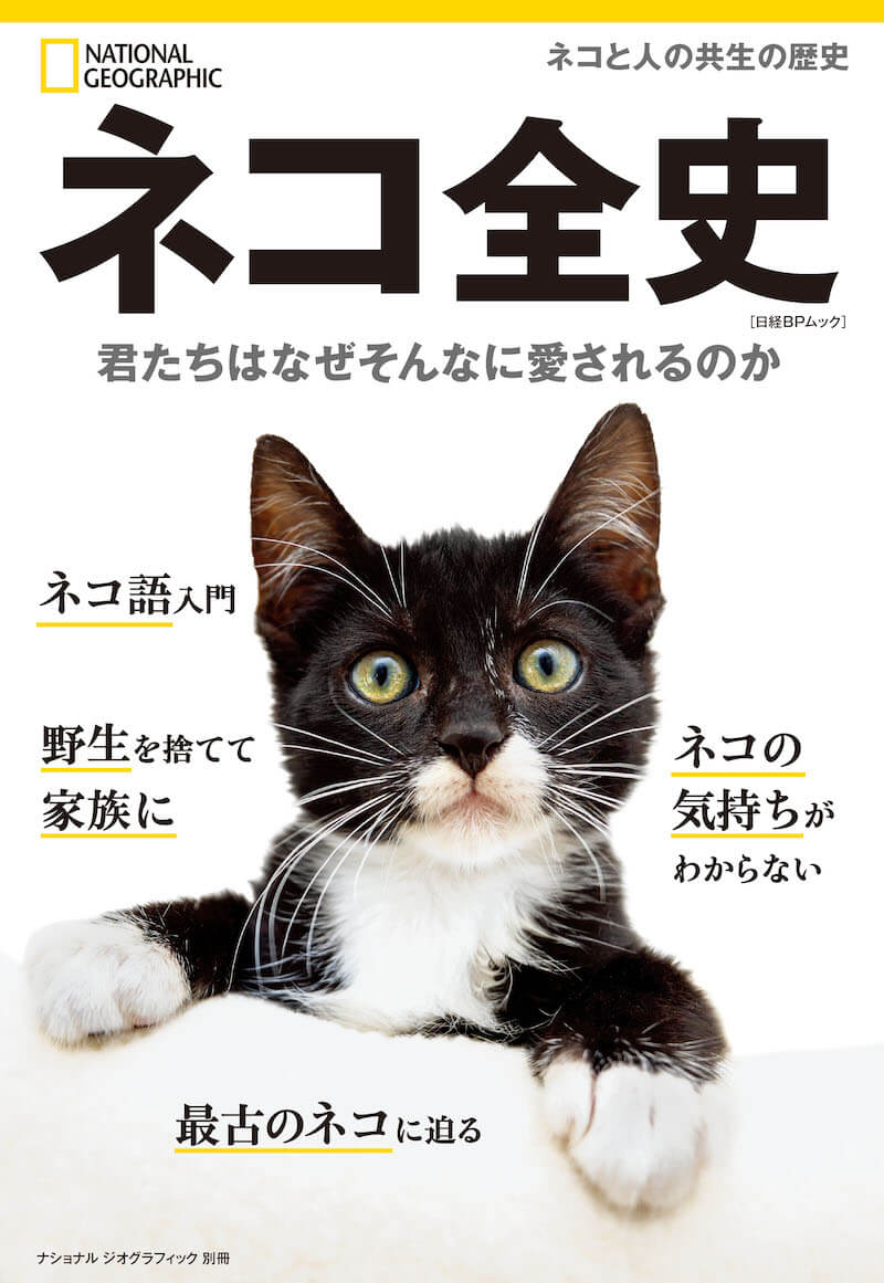 ネコの謎と秘密に迫る書籍『ネコ全史 君たちはなぜそんなに愛されるのか』表紙イメージ