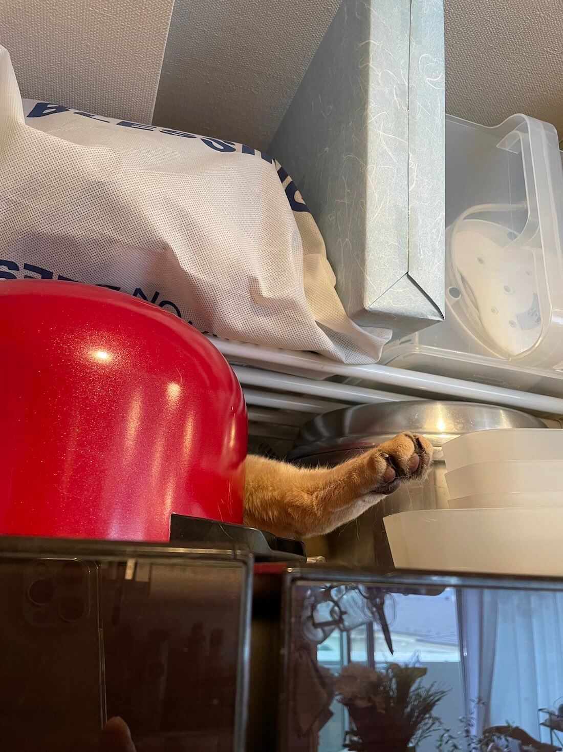 冷蔵庫の上から猫の足だけ見える『猫神家の一族』