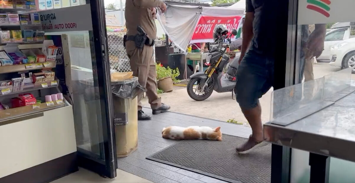 タイのコンビニで寝ている猫の横を通行する客