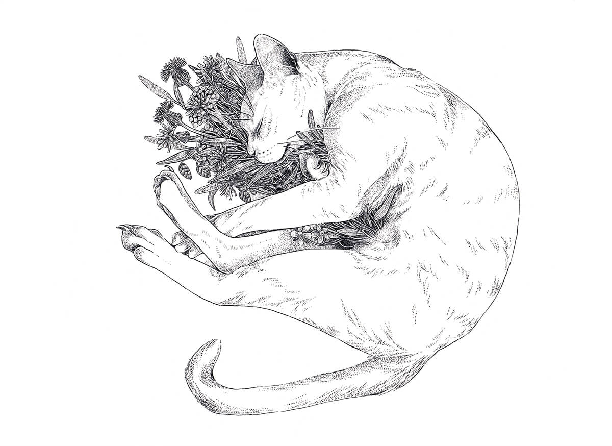 植物を抱いて眠る猫の絵 by IKEDA Saki（池田 早秋）