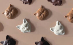 4種類の猫をモデルにしたチョコレート「キャット ボンボンショコラ」の顔が超リアル！スパイシーな味わいでミステリアスな猫っぽさも表現