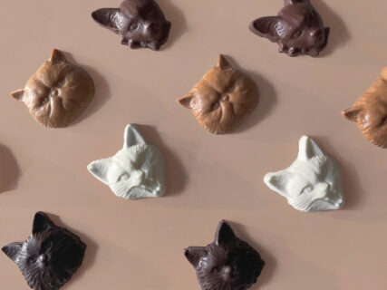 4種類の猫をモデルにしたチョコレート「キャット ボンボンショコラ」の顔が超リアル！スパイシーな味わいでミステリアスな猫っぽさも表現