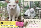 歌舞伎町の駐車場で出会った猫がオジサンの人生を救う、コロナ禍で人生のどん底に陥った男の感動フォトエッセイが登場