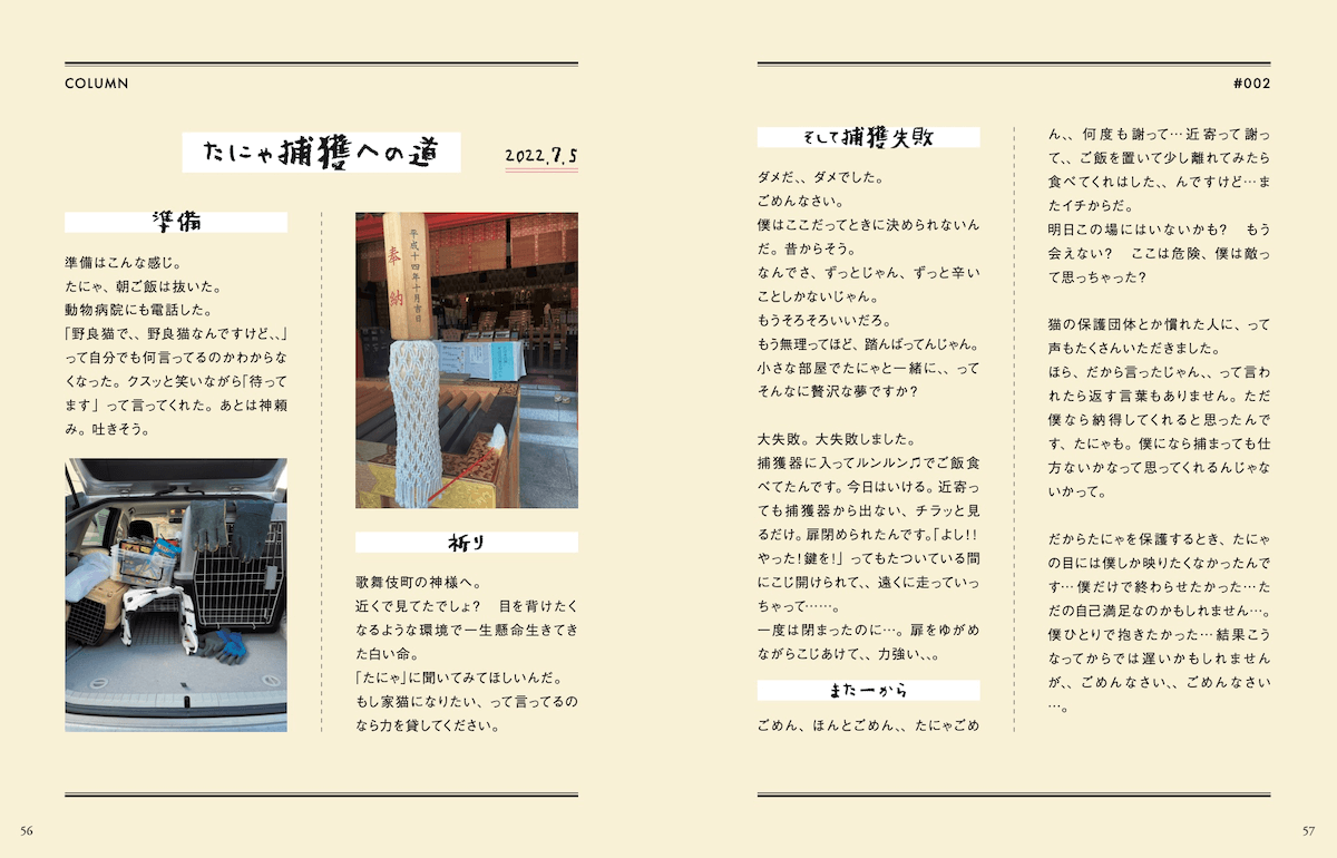 家猫にするための捕獲作戦 by 書籍「歌舞伎町の野良猫「たにゃ」と僕」