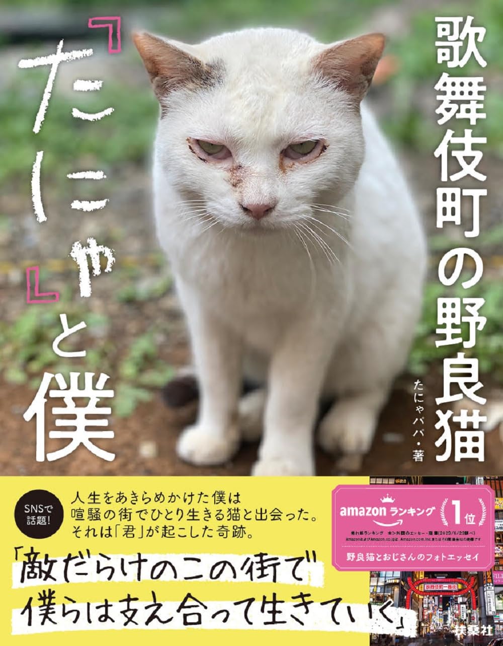 歌舞伎町に生きる野良猫とおじさんの泣けるフォトエッセイ『歌舞伎町の野良猫「たにゃ」と僕』