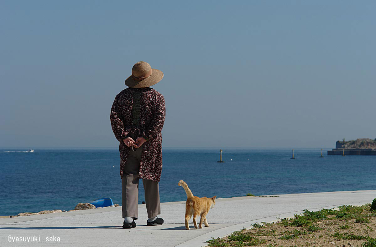 海岸を仲良くリードなしでお散歩するお婆さんと茶トラ猫