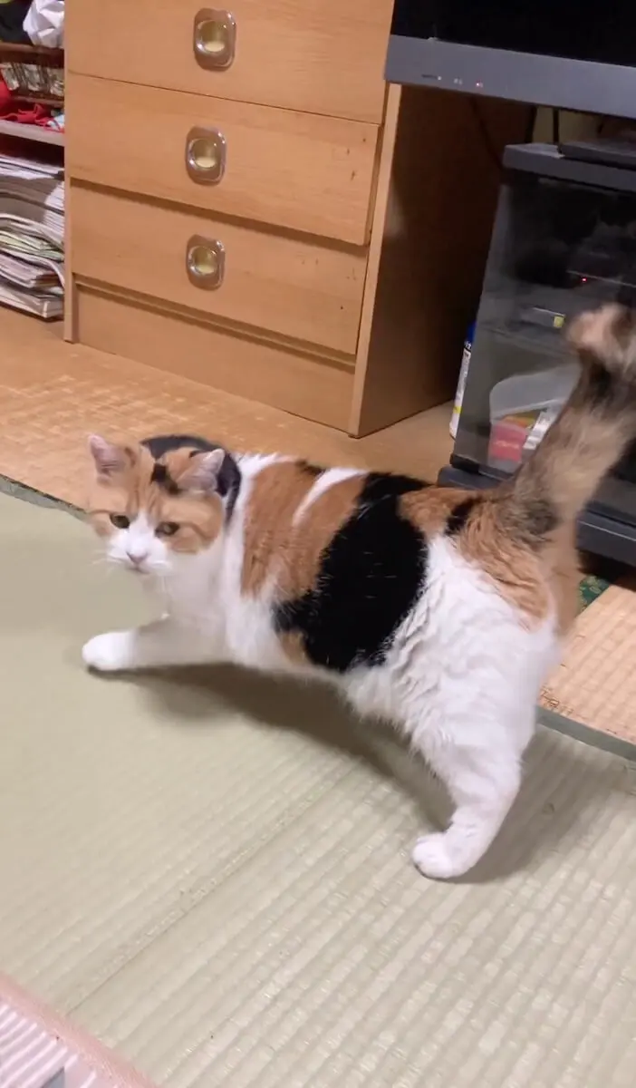 ねこぽん♪ BURTON 上150位 下140位 激安価格の ねこぽん様専用♪ BURTON 上150位 下140位