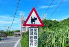 これは安全運転しちゃう！台湾で見かけた猫の道路標識が可愛いすぎると話題に→間近で目撃した日本人に話を聞いてみた