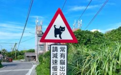 これは安全運転しちゃう！台湾で見かけた猫の道路標識が可愛いすぎると話題に→間近で目撃した日本人に話を聞いてみた