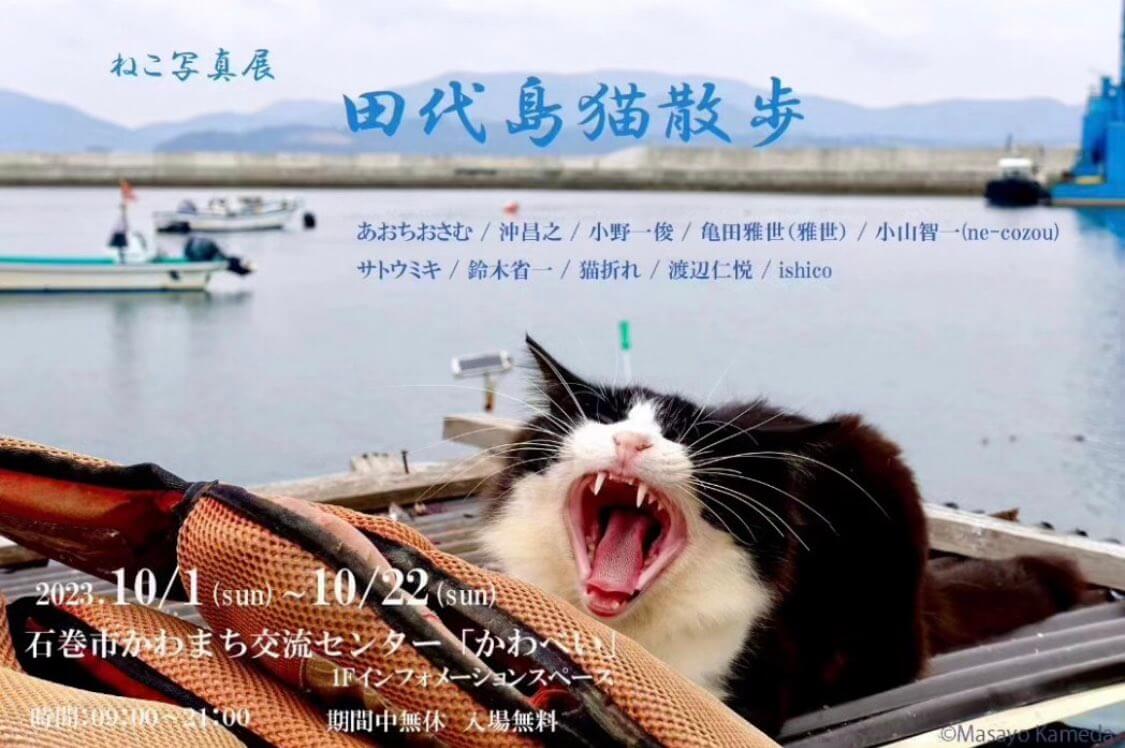 『ねこ写真展　田代島猫散歩』メインビジュアル