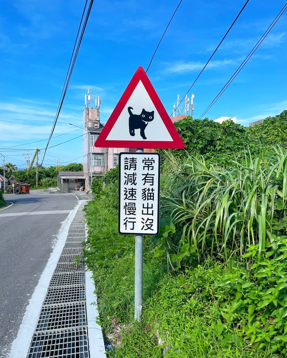 台湾に設置されている「ネコ注意」の道路標識（警戒標識）の実物イメージ