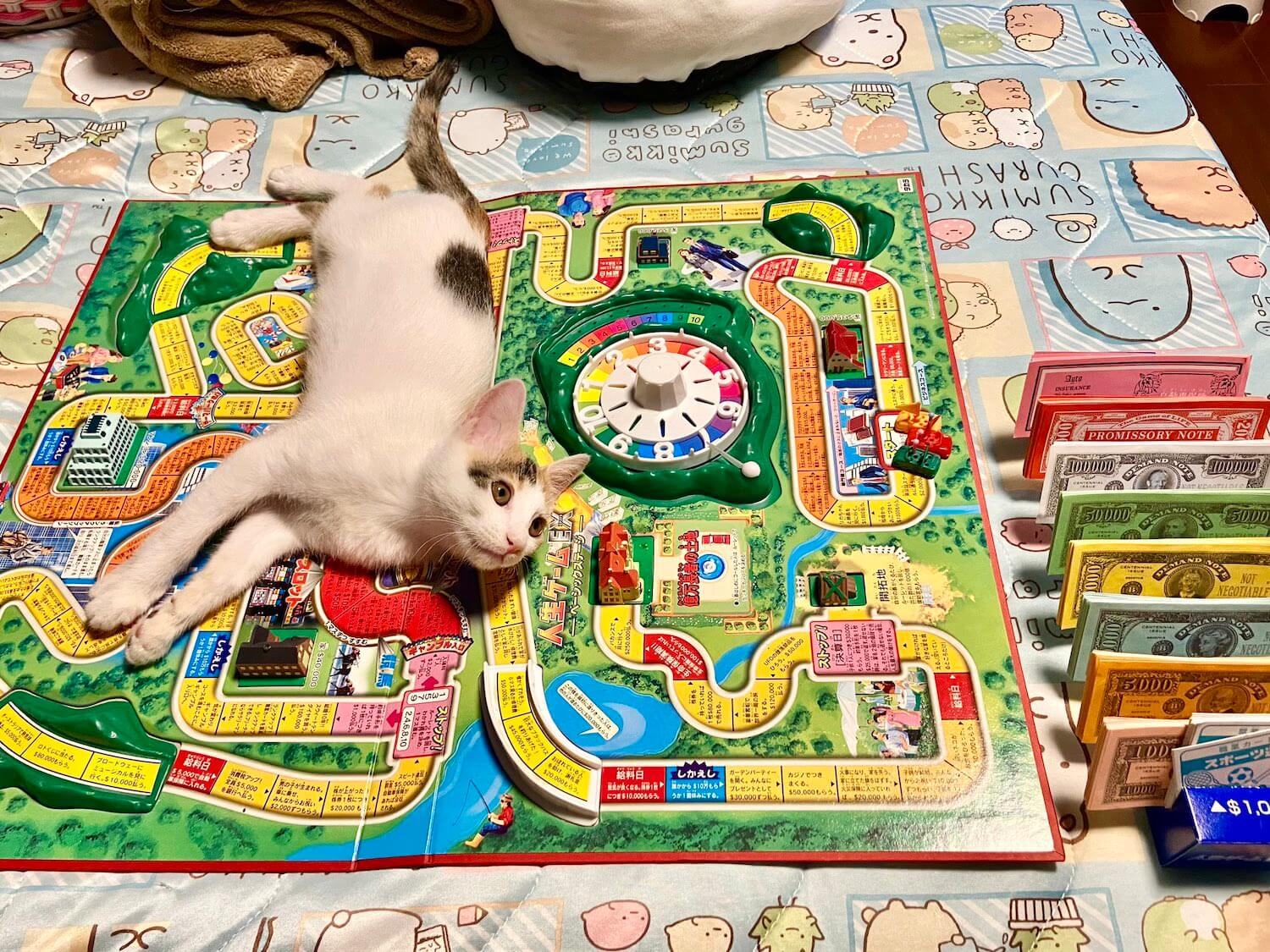 人生ゲームを邪魔する猫