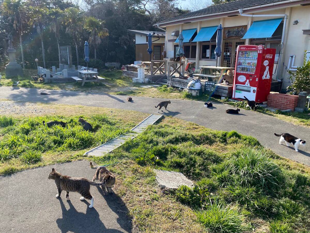 猫島・田代島にある休憩所『島のえき』の外観イメージ