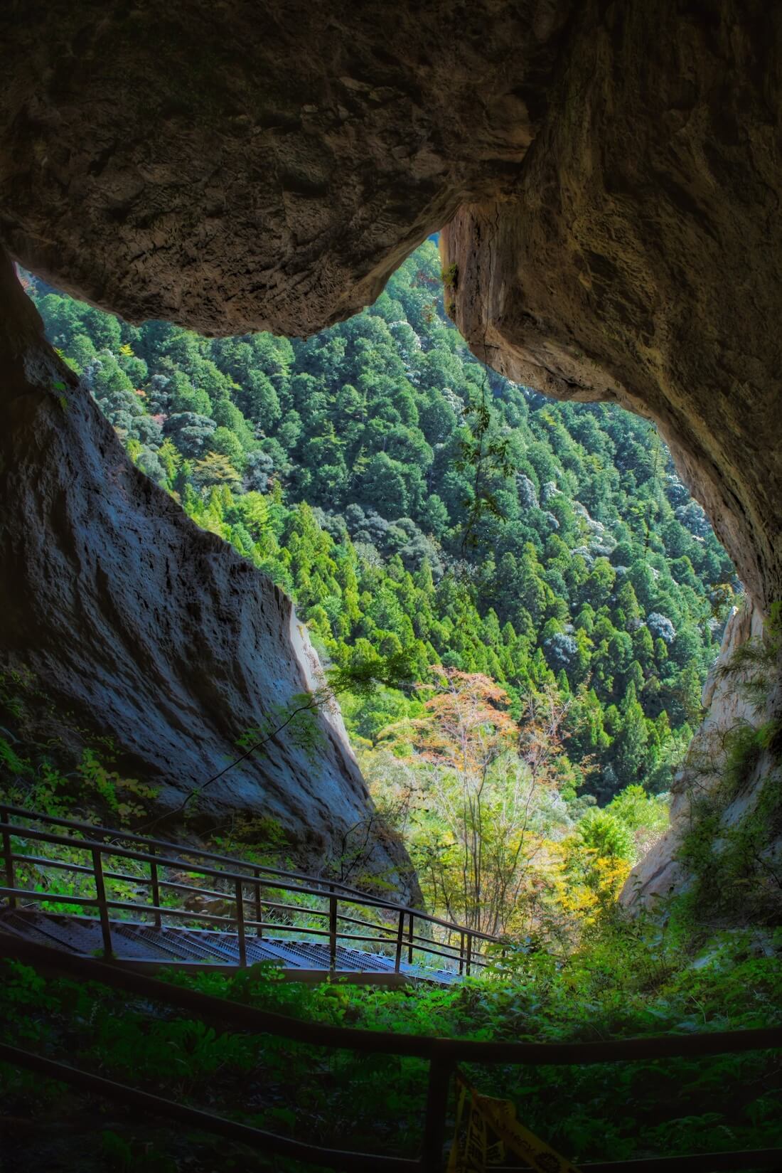 洞穴からの中から外を見た景色が巨大な猫に見える乳岩峡（乳岩洞窟）