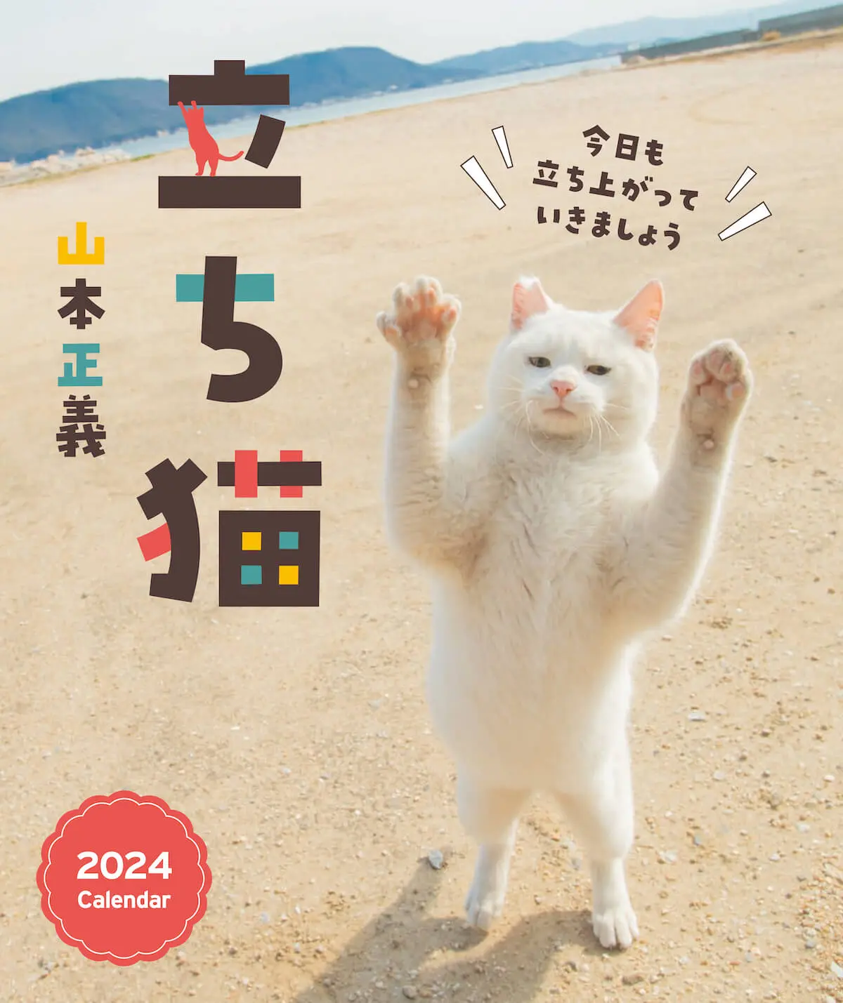 ラオスで撮影した猫の写真も展示！3名のネコ写真家が参加する、写真×猫
