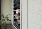 玄関の出窓からひょっこり顔をのぞかせる猫ちゃんたちが可愛すぎる！よく見ると緊迫した表情の2匹、その理由とは…？