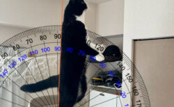猫は2本足でまっすぐ立てるのか？本気を出した猫の背中を分度器で測ってみると…結果は88度→ほぼ垂直に立てることが判明