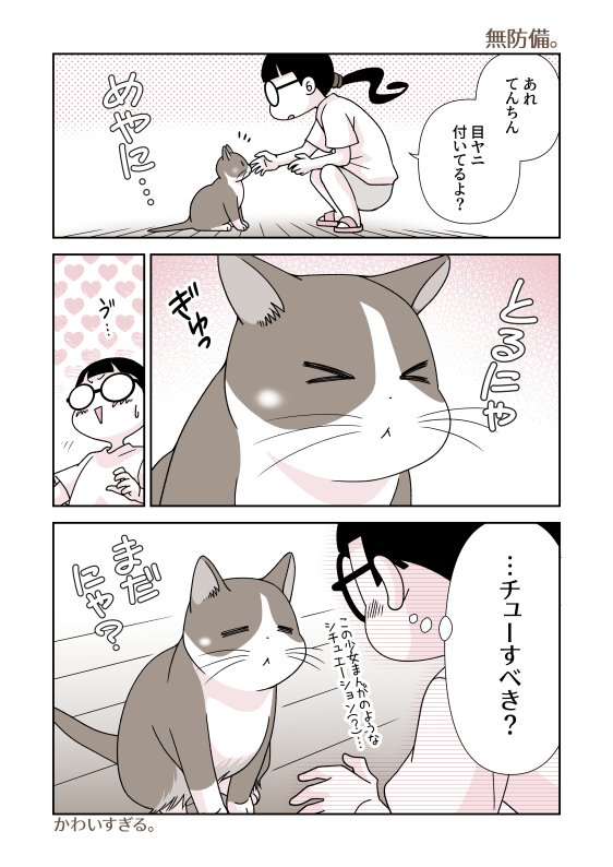 キジシロ猫てんちゃんのエピソードを描いた漫画