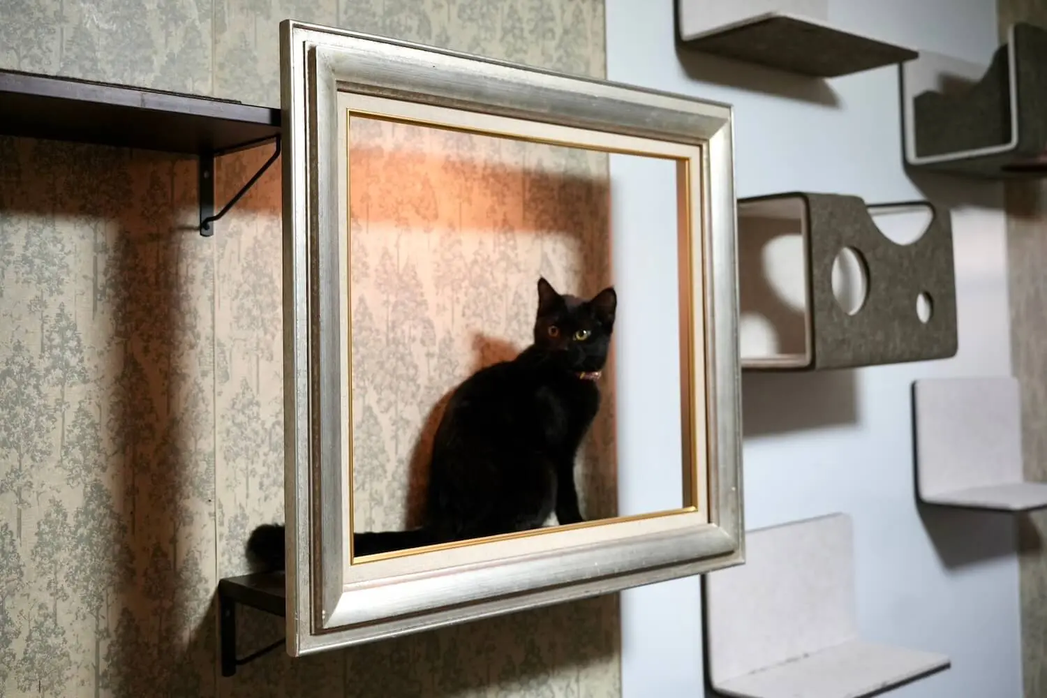 ＊黒猫画家の一軒家＊  イラスト(お家型額縁+屋根にも猫) 黒猫画家の一軒家＊ イラスト(お家型額縁+屋根にも猫)
