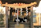 近所の神社へ初詣に行ったら猫神様と遭遇！祠の真ん中に堂々と鎮座しているネコちゃんの姿が神々しい
