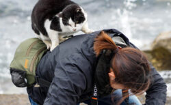 「今週、腰が痛い原因はきっとこれ」大柄な猫が背中に乗ってきた→5分間ガマンした猫写真家の叫びに共感する人が続出
