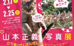 猫の日には「立ち猫」の撮り方も本人が伝授！山本正義さんの猫写真展が2/17からスタート