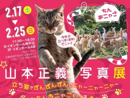 猫の日には「立ち猫」の撮り方も本人が伝授！山本正義さんの猫写真展が2/17からスタート