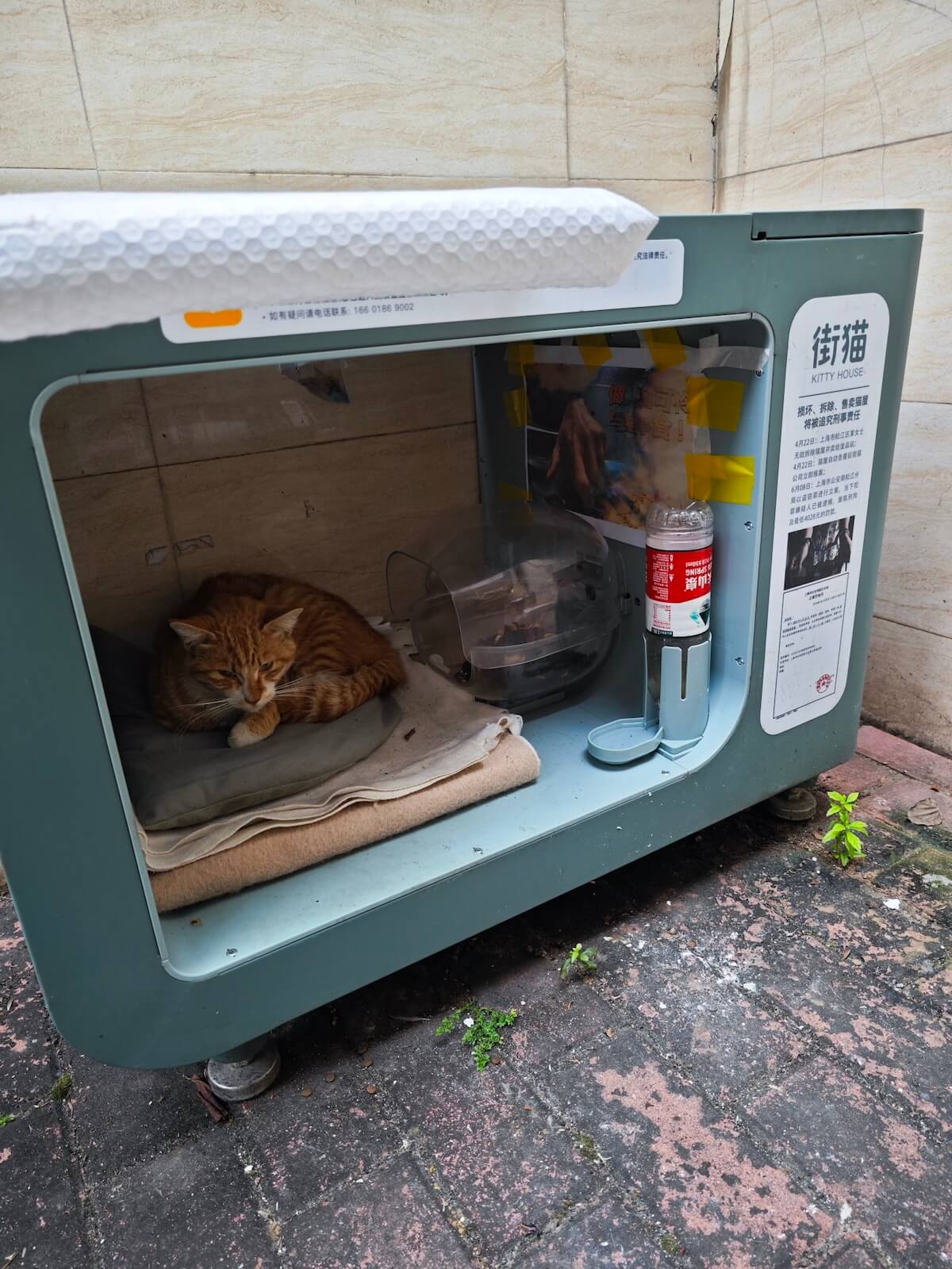 中国にある猫用フード・お水・寝床を備えた猫専用スペース「街猫」ボックス