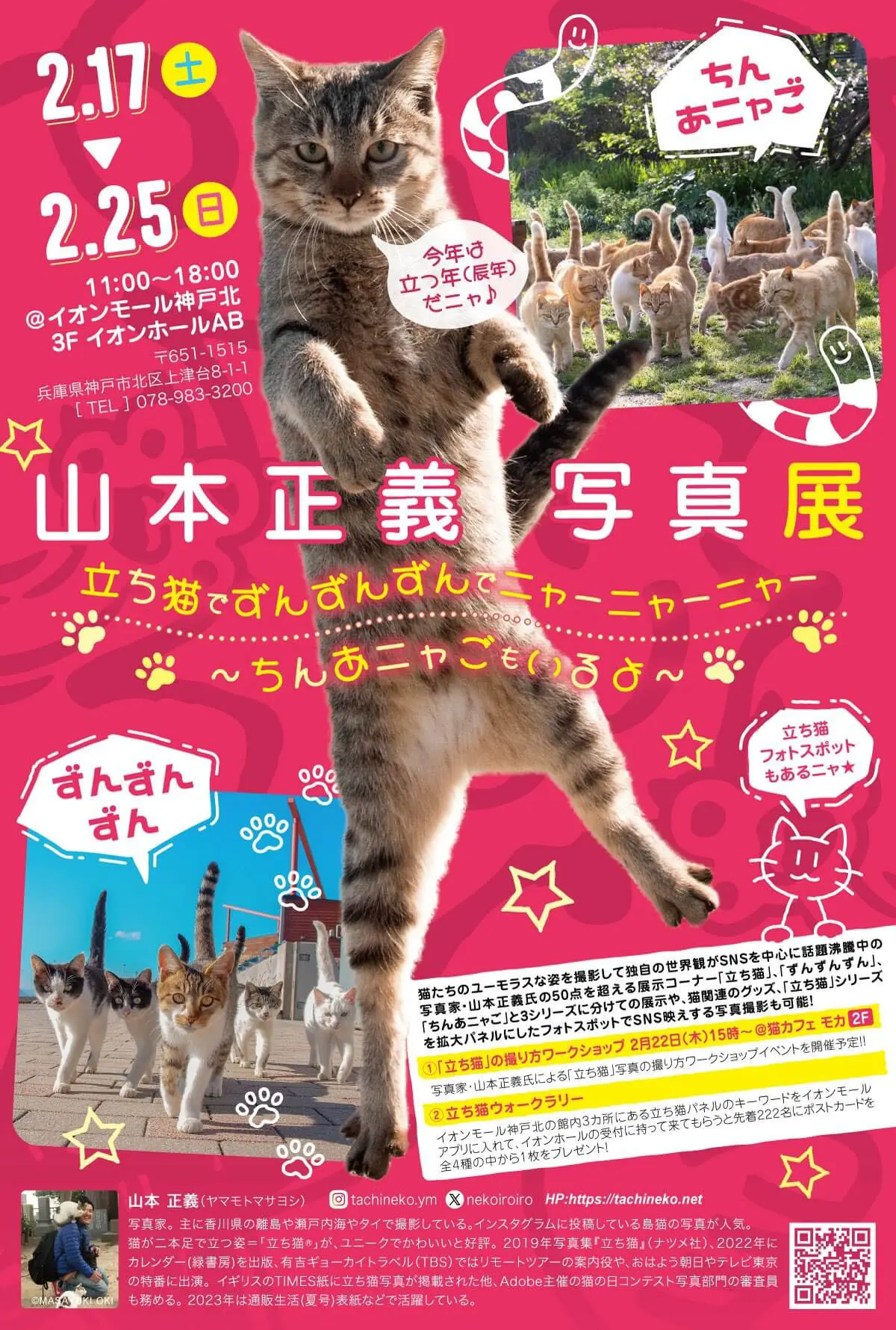 山*猫様 ともだち　　　と思われるブロンズ 商品詳細 | トレカアイテムくじOnline