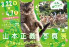 猫の撮り方を教えてもらえるトークショーも開催！ねこ写真家・山本正義さんの写真展が3/22よりスタート