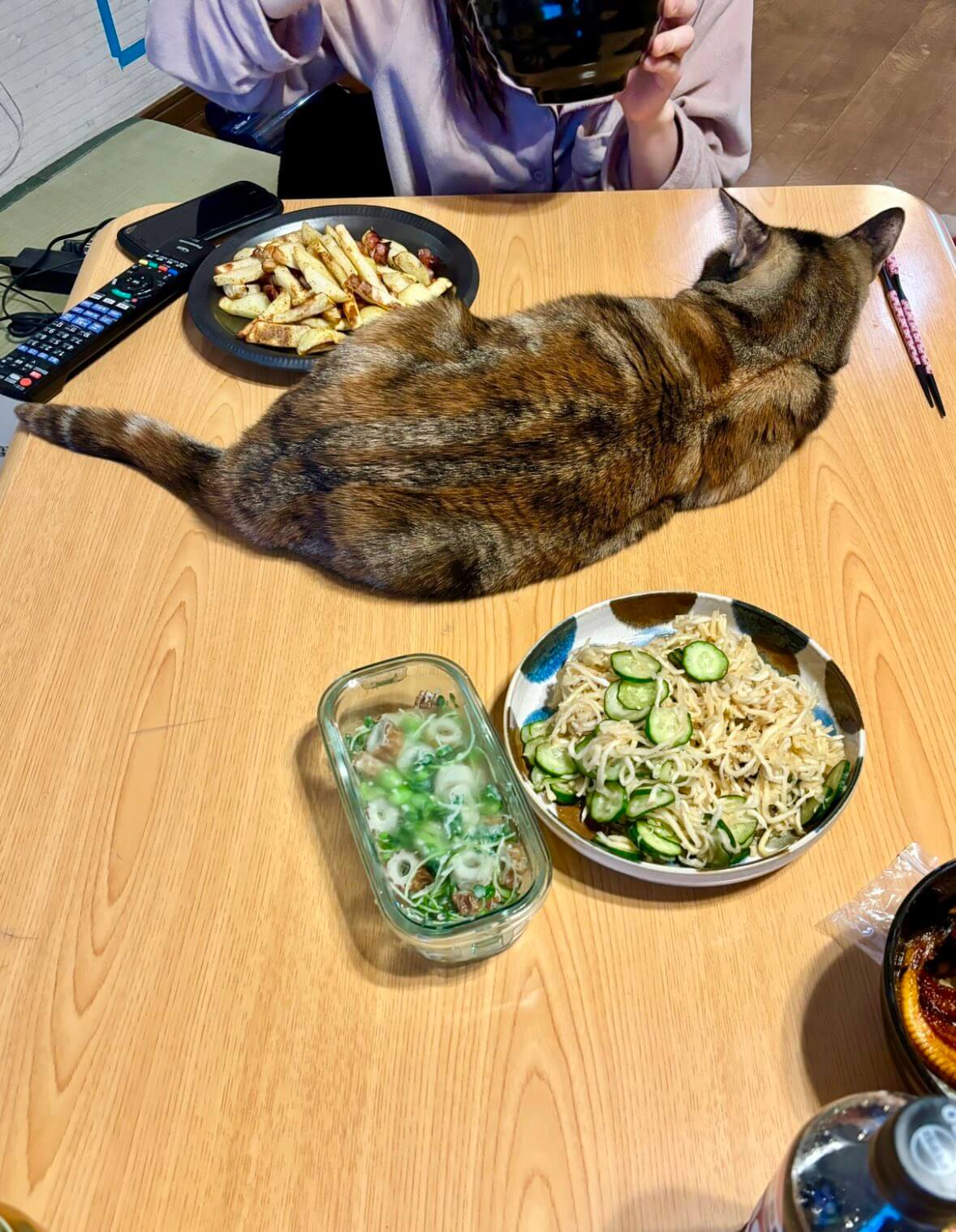 人間が食事しているテーブルでくつろぐ猫