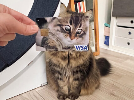 「これは欲しい！」「店員が三度見しそうw」猫が凝視する顔で作ったクレジットカードに、17万いいねの大反響