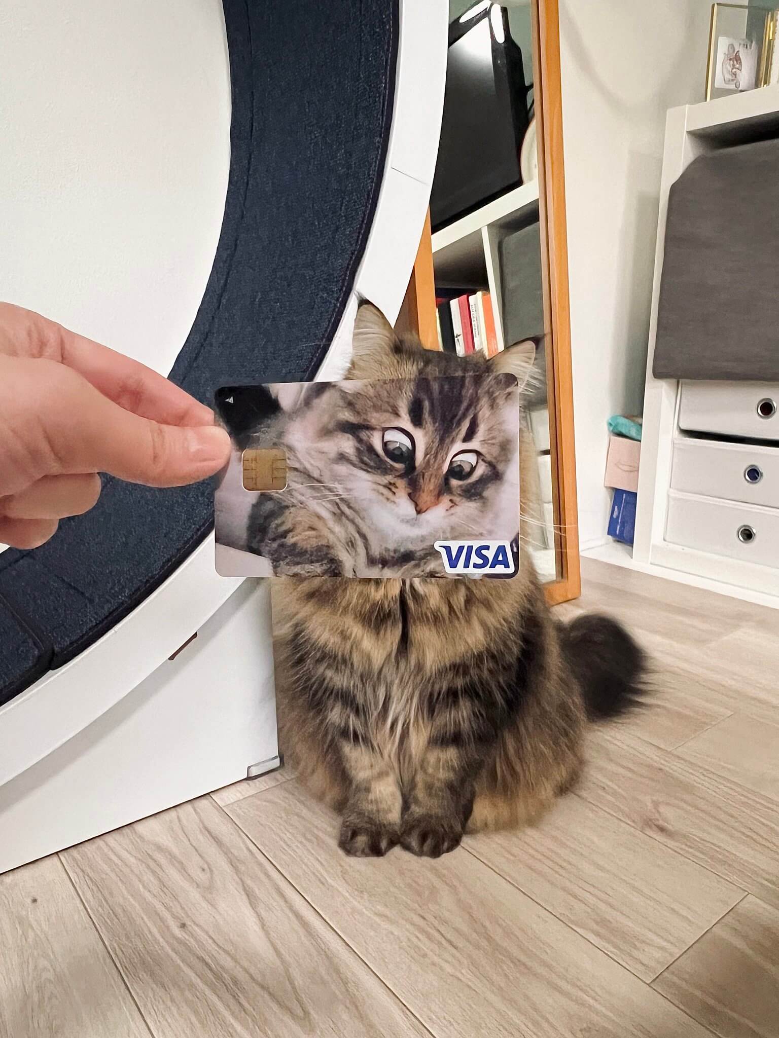 白目をむいた猫の面白顔の写真で作ったクレジットカード by サイベリアンのヤマネコ君
