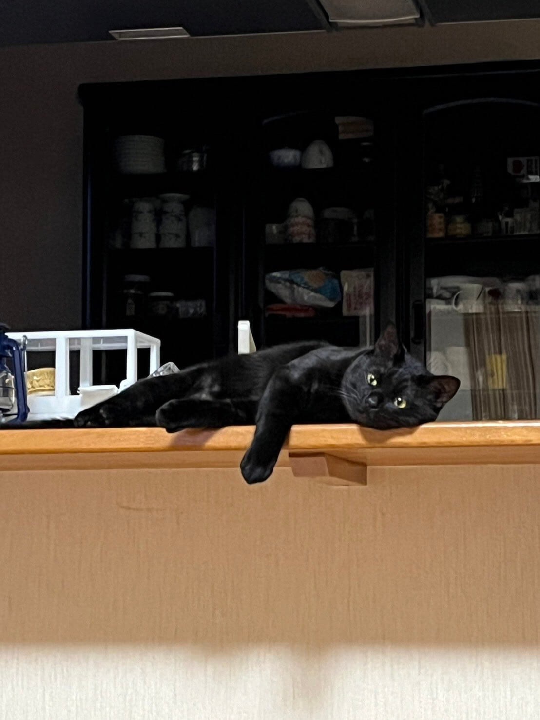 キッチンカウンターで寝転ぶ黒猫