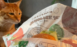 猫の視線の先にあるのは…バーガーキングのハンバーガー！人間の食べ物をめぐるネコと飼い主のシビアな攻防戦