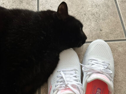 「新しい靴を買うと必ずこうなります」飼い主さんに見守られながらマーキングに励む黒猫の姿が微笑ましい