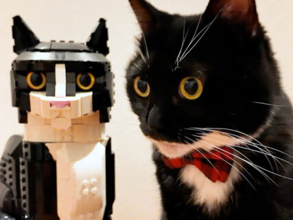 まるで双子の猫？レゴブロックの新商品が超リアルすぎて、猫ちゃん自身もビックリしてしまう