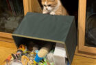 「やっちまったなぁ」玩具箱を思い切りぶちまけた猫ちゃん、大胆な犯行の裏に隠されたカワイイ動機とは？