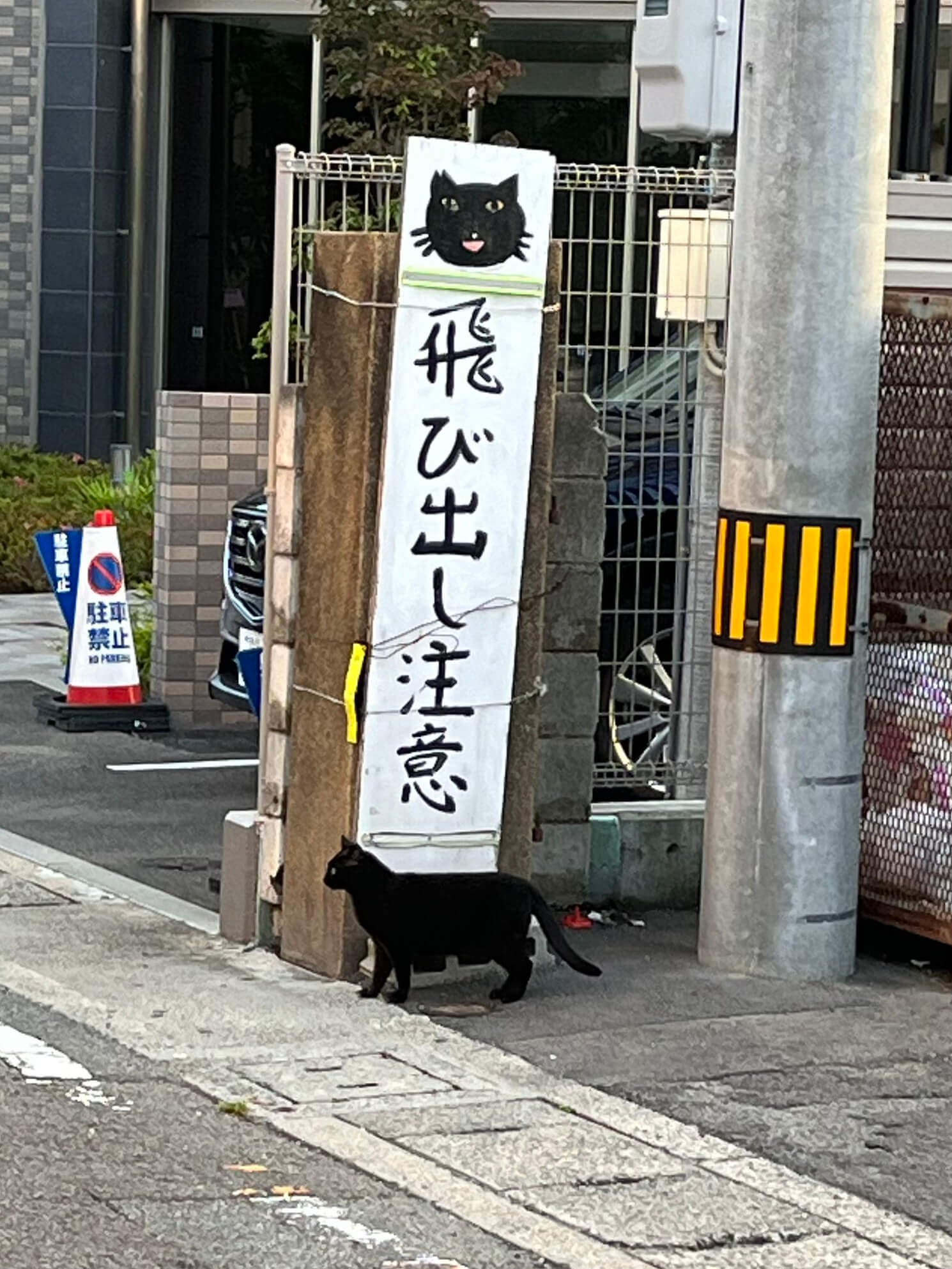 「猫飛び出し注意」看板下から、道路に飛び出そうとする黒猫