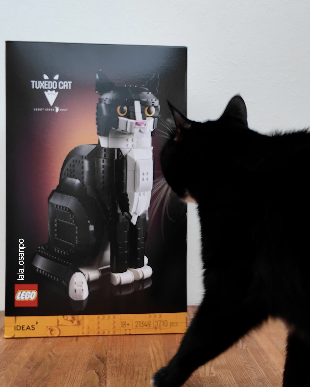 レゴブロックのタキシードキャットを見つめる黒白猫のララちゃん