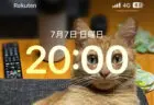 20:00の奇跡！猫の目がスマホの時刻にシンデレラフィット→あまりの偶然に8万いいねの大反響