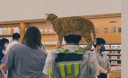 アップルストアの店内に猫がいた！肩に乗せた猫とショッピングを楽しむ驚きの光景に5万いいねの大反響
