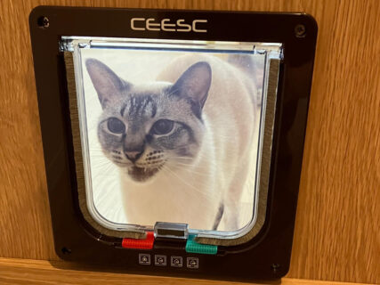 ドアの通り方が分からニャい「開けて～！」と必死に訴える猫ちゃんの姿が可愛すぎて22万いいねの大反響