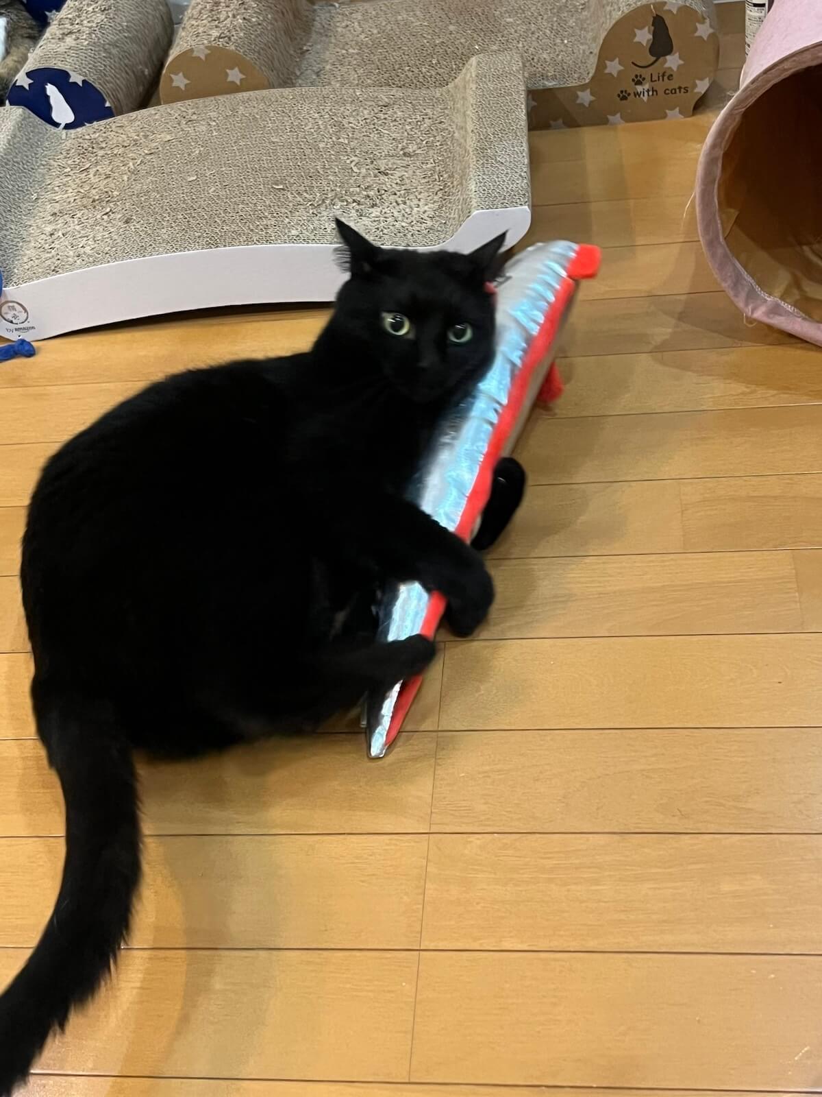 けりぐるみを蹴る黒猫ちゃん
