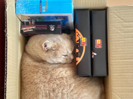 微妙なすき間にジャストフィット！L字型のブロックに変形した猫がテトリスみたいだと話題に